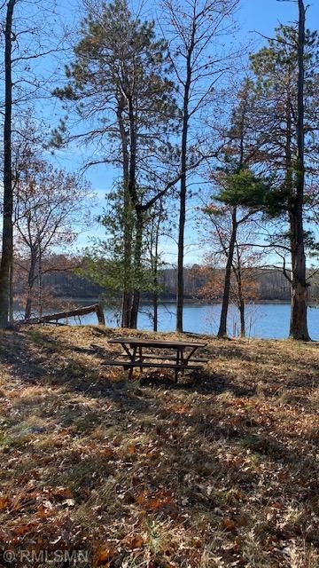 TBD Thunder Lake Lodge Dr NE, Remer, MN 56672