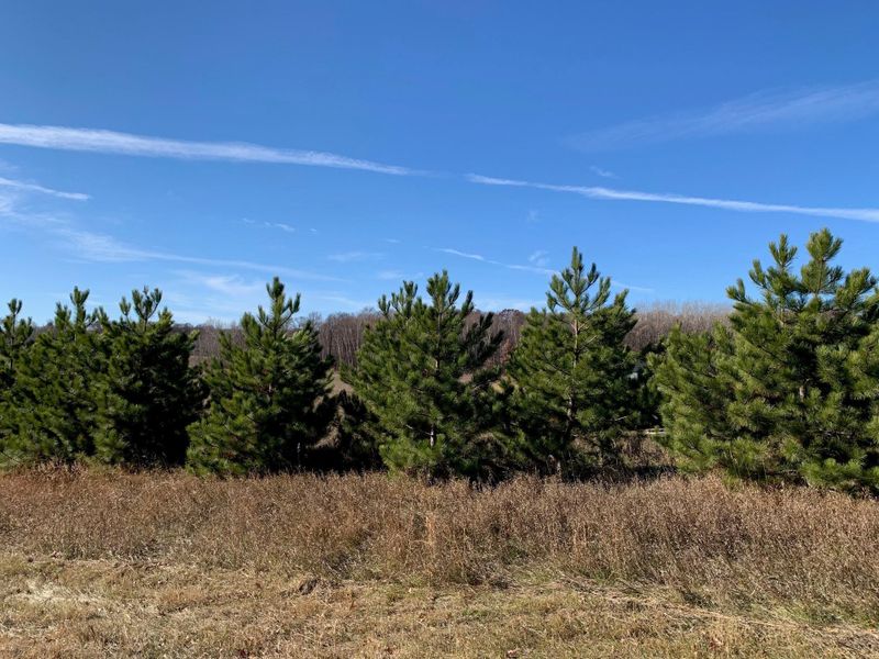 L2 B1 Maplewood Ridge Rd, Brainerd, MN 56401
