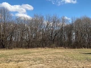 706 Campbell Ct, Pine Island, MN 55963
