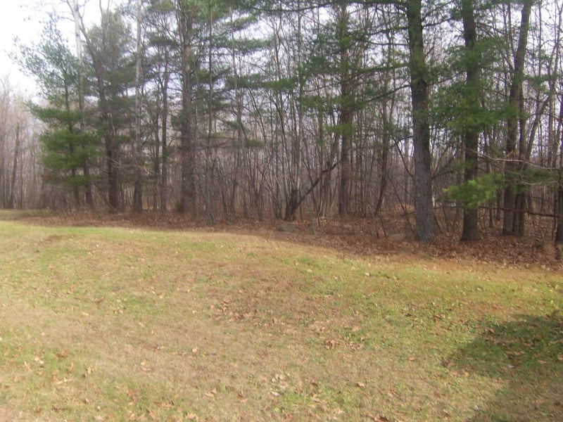 N2240 County Rd E, Bruce, WI 54819