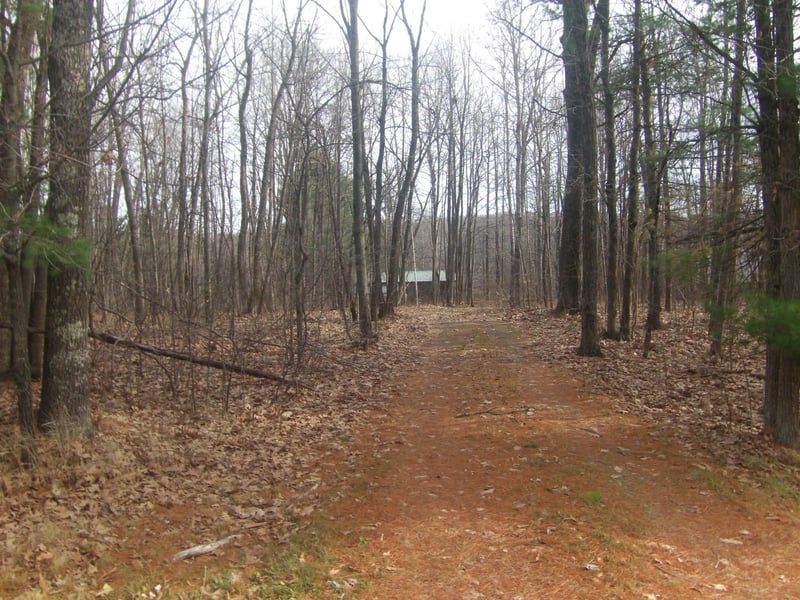 N2240 County Rd E, Bruce, WI 54819