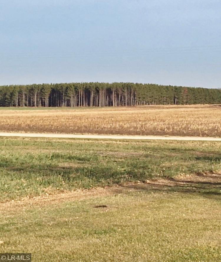 XXX Tamarack Rd, Hewitt, MN 56453