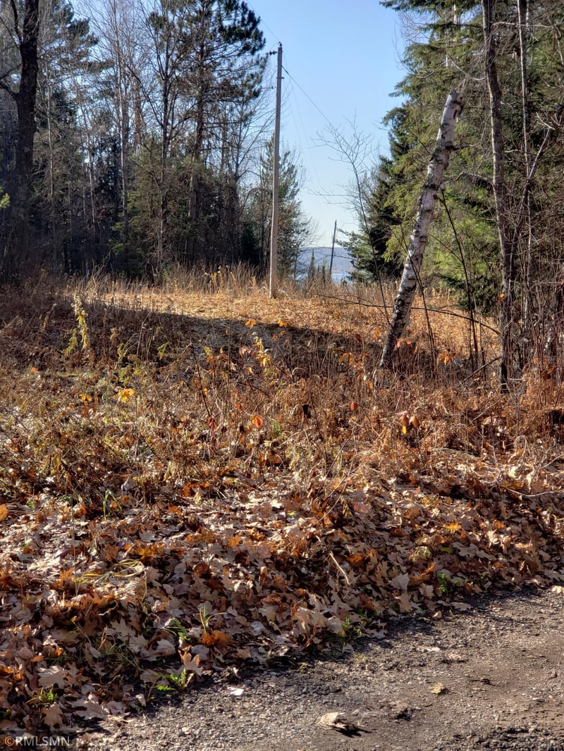7487 Breezy Point Rd NW, Walker, MN 56484