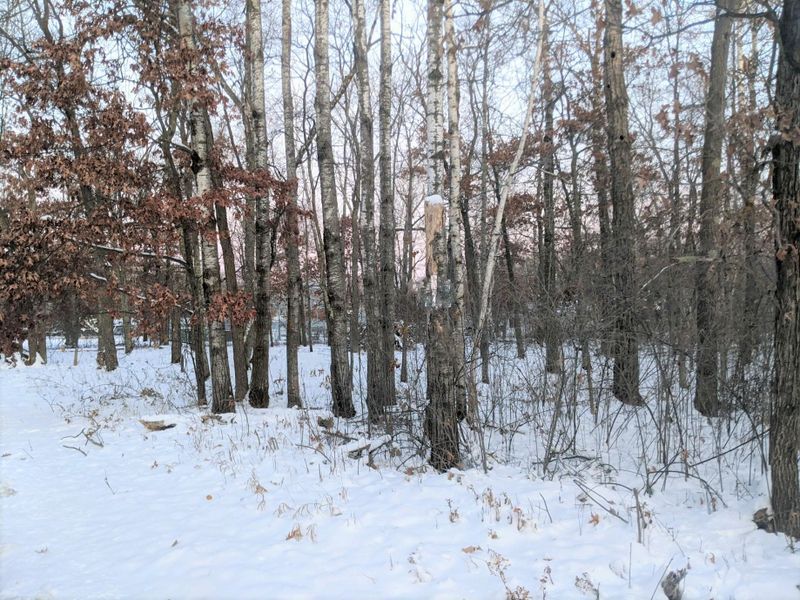 0 Birch Ln, Breezy Point, MN 56472