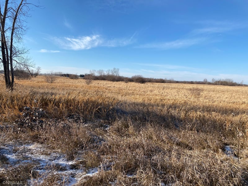 TBD 5th St SW, Mcintosh, MN 56556