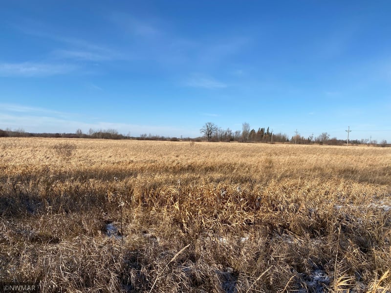TBD 5th St SW, Mcintosh, MN 56556