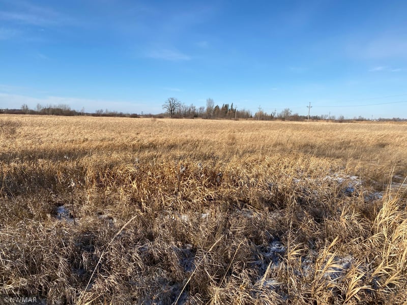 TBD 5th St SW, Mcintosh, MN 56556