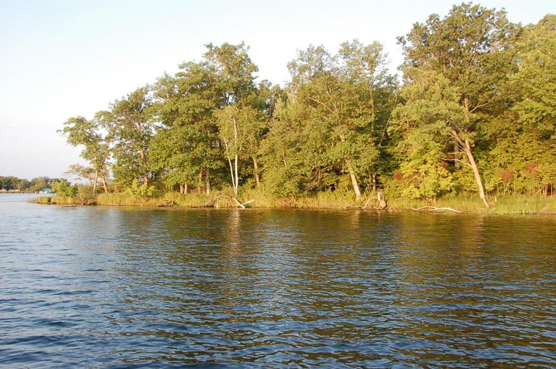 TBD Lot E Eaglewood Dr, Deerwood, MN 56444