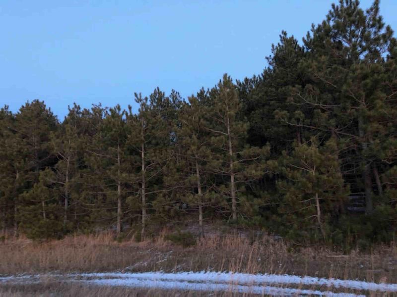 TBD County Highway 26, Osage, MN 56570