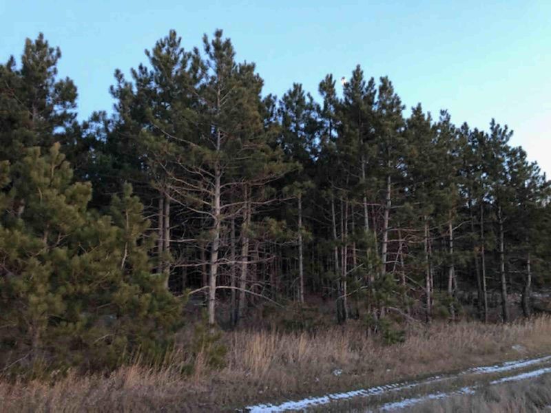 TBD County Highway 26, Osage, MN 56570