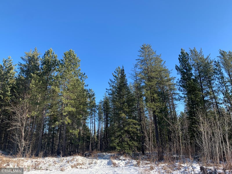 xxx Mesaba Trunk Rd, Side Lake, MN 55781