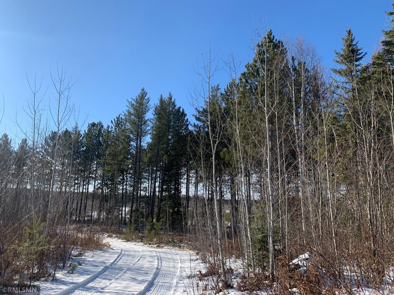 xxx Mesaba Trunk Rd, Side Lake, MN 55781