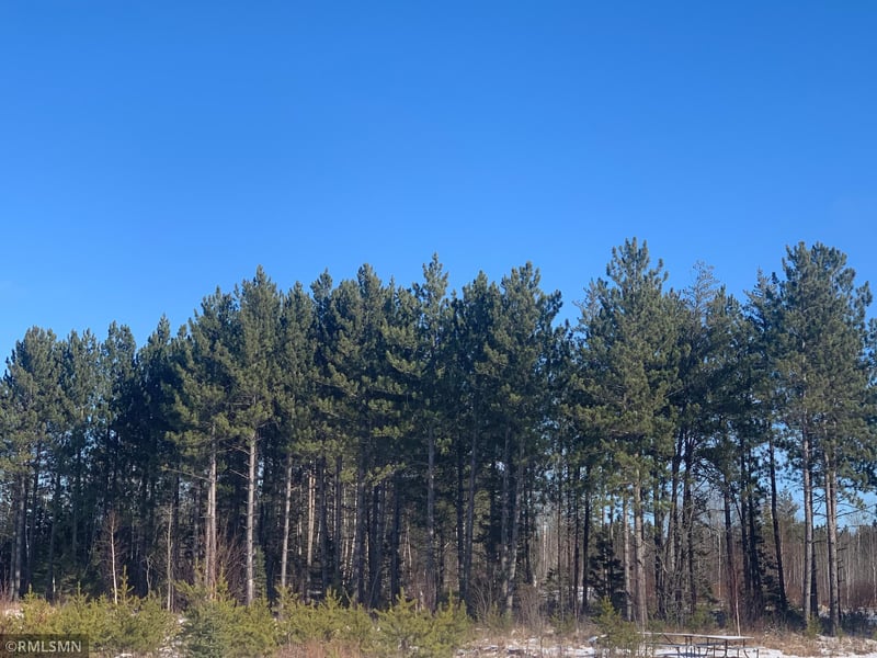 xxx Mesaba Trunk Rd, Side Lake, MN 55781