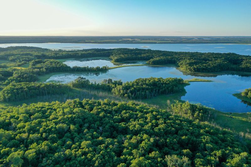 45944 S Shell Lake Rd, Osage, MN 56570