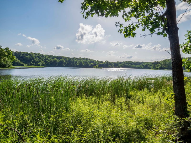 2624 N Saunders Lake Dr, Minnetrista, MN 55364