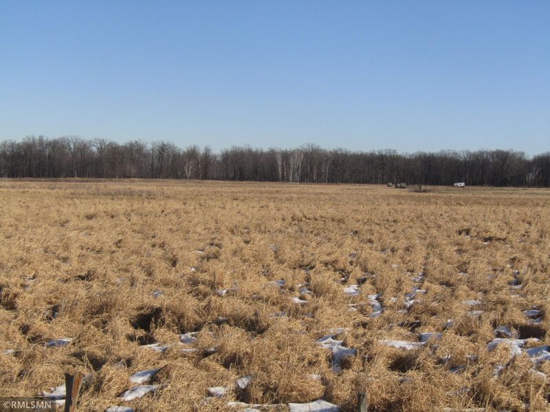 34 Acres Auburn Rd, Grasston, MN 55030