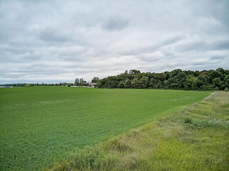 Parcel B County Road 123, Watertown, MN 55388