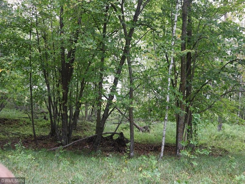 21647 County 24, Park Rapids, MN 56470