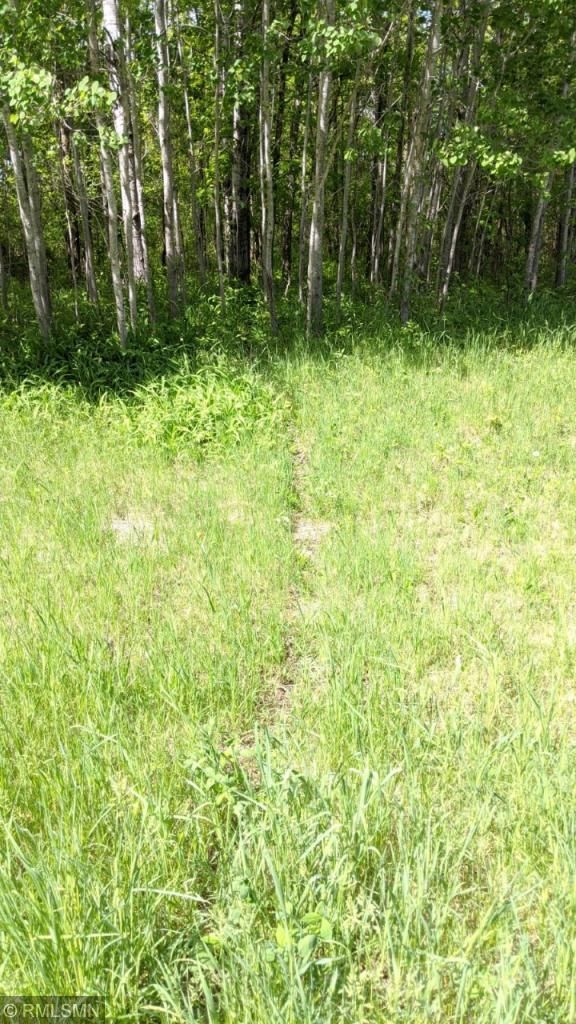 XXXX Polk St NE, Stanchfield, MN 55080