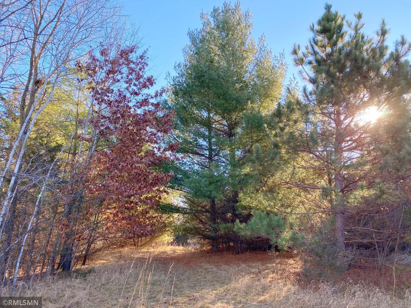 XXXXX 278th Ave Nw, Zimmerman, MN 55398