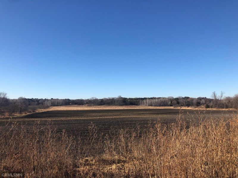 XXX Tulip St NW, Andover, MN 55304