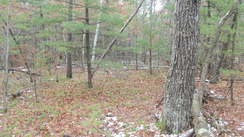 LOT 8 Borg Rd, Grantsburg, WI 54840