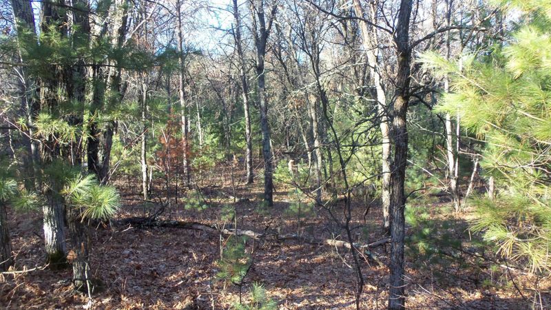 LOT 7 Borg Rd, Grantsburg, WI 54840