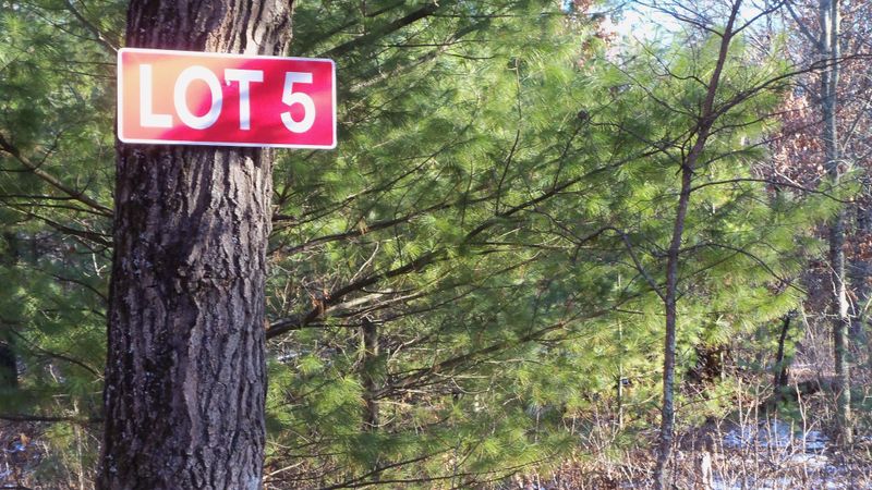 LOT 5 Borg Rd, Grantsburg, WI 54840