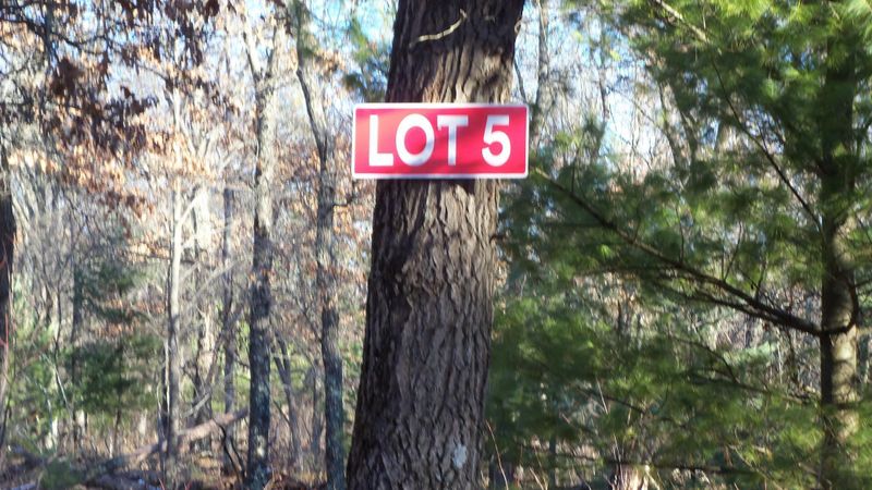 LOT 5 Borg Rd, Grantsburg, WI 54840