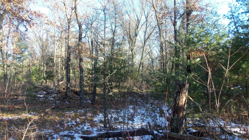 LOT 5 Borg Rd, Grantsburg, WI 54840