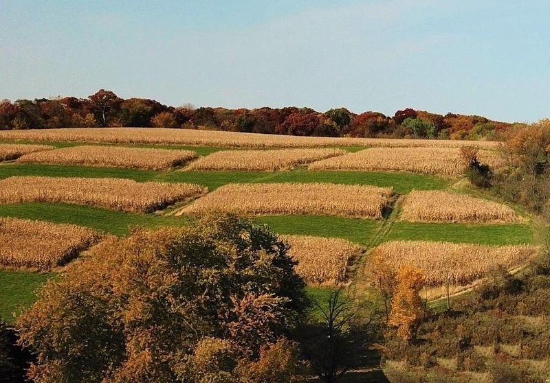 TBD23 County Rd 15, Preston, MN 55965