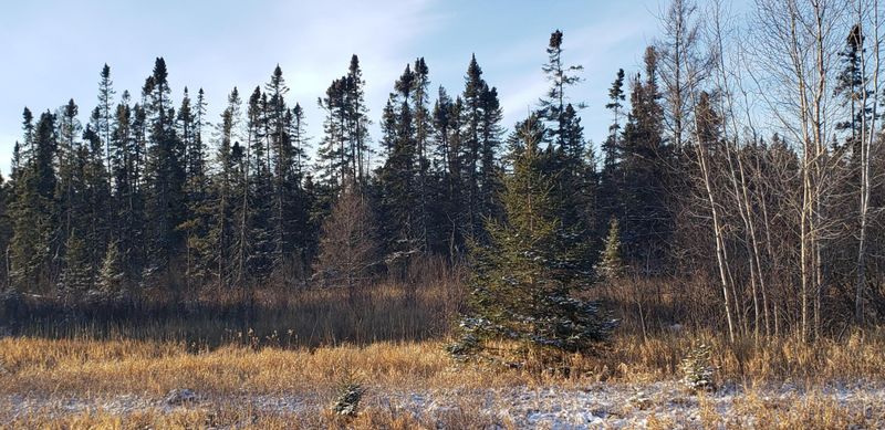 TBD Gull Lake Loop Rd, Tenstrike, MN 56683