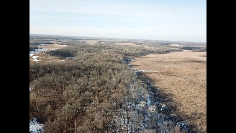 12295 Sage Rd, Hillman, MN 56338