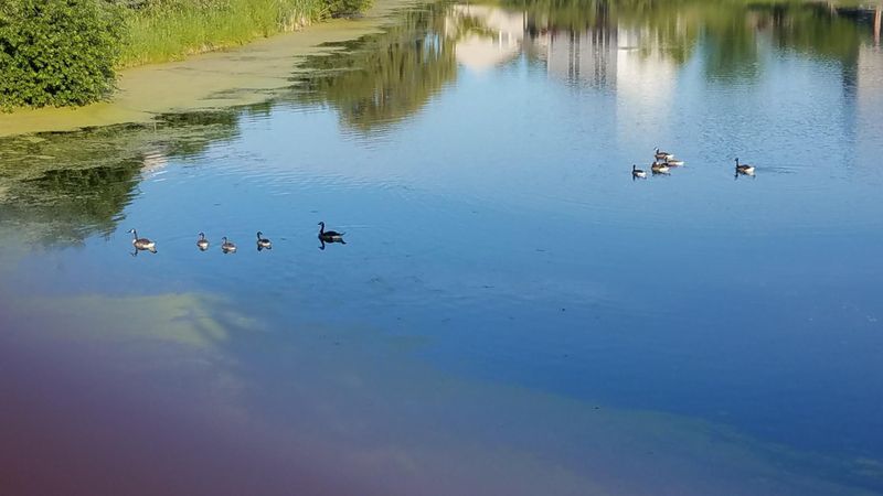 1186 Hidden Creek Blvd, Mayer, MN 55360