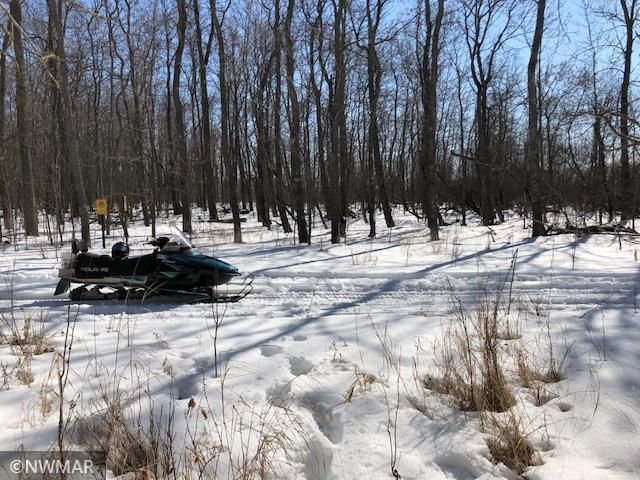 TBD Elm Point, Warroad, MN 56763