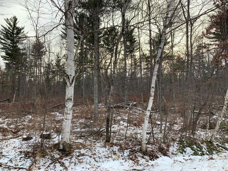Lot 6 Ojibwa Rd, Spooner, WI 54801