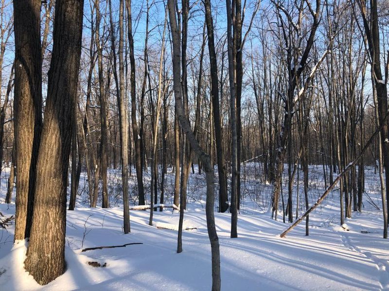 Lot 5 Leigh Dr, Bruno, MN 55712