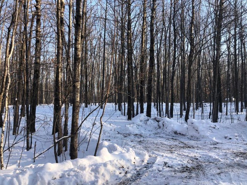 Lot 5 Leigh Dr, Bruno, MN 55712