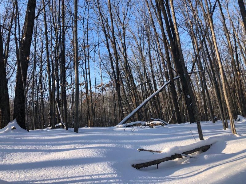 Lot 5 Leigh Dr, Bruno, MN 55712