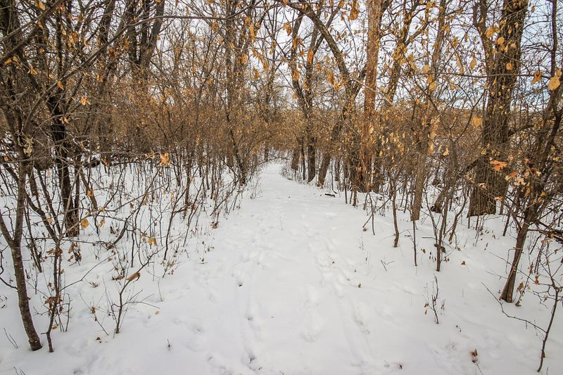 1708 Colfax Rd NE, Belgrade, MN 56312