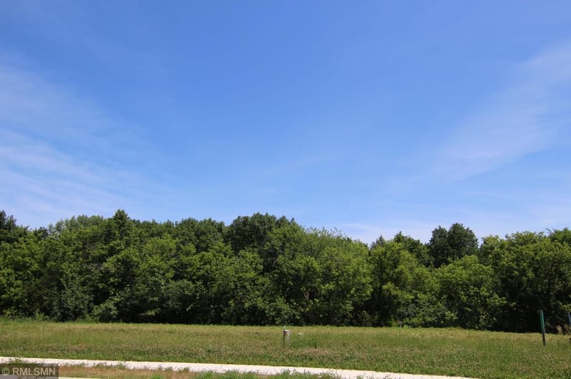 111 Forner Ln, Carver, MN 55315