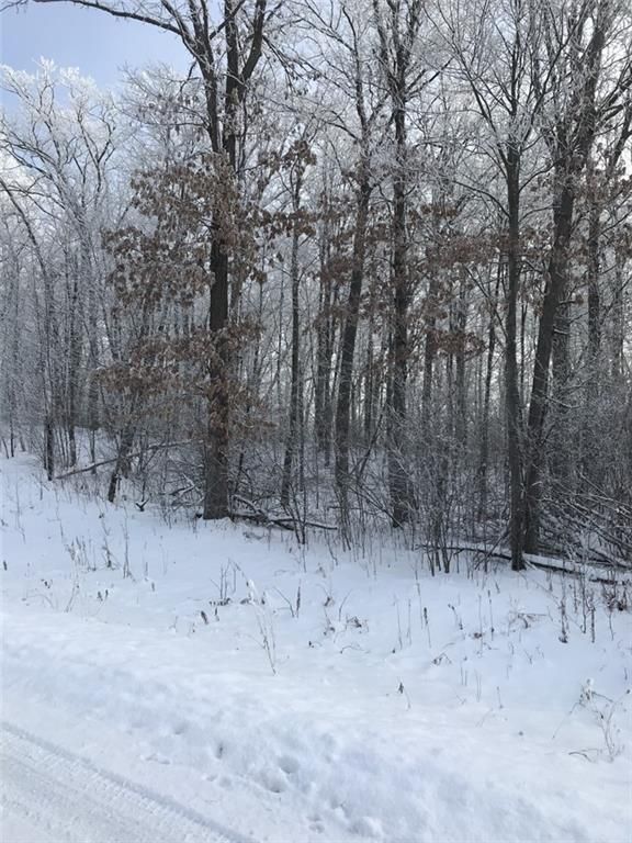 Lot 19 20 3/8, Cameron, WI 54822
