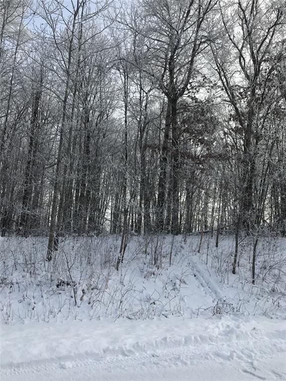 Lot 19 20 3/8, Cameron, WI 54822