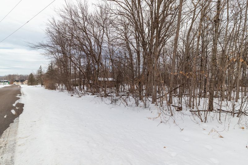 TBD Maplewood Dr, Randall, MN 56475