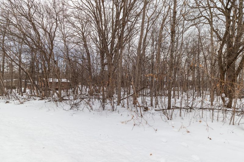 TBD Maplewood Dr, Randall, MN 56475