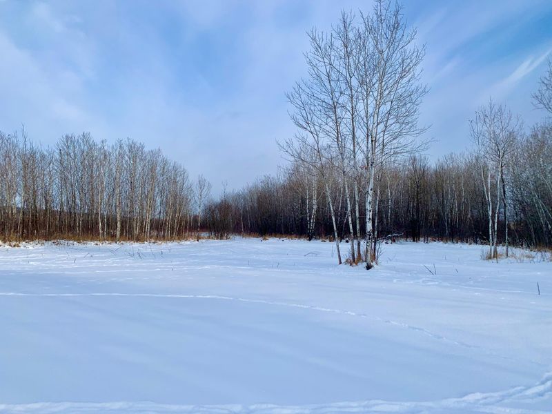 14301 580th St, Pine City, MN 55063