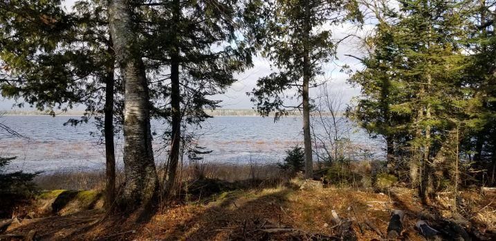 TBD South Steamboat Lake Rd Nw, Walker, MN 56633