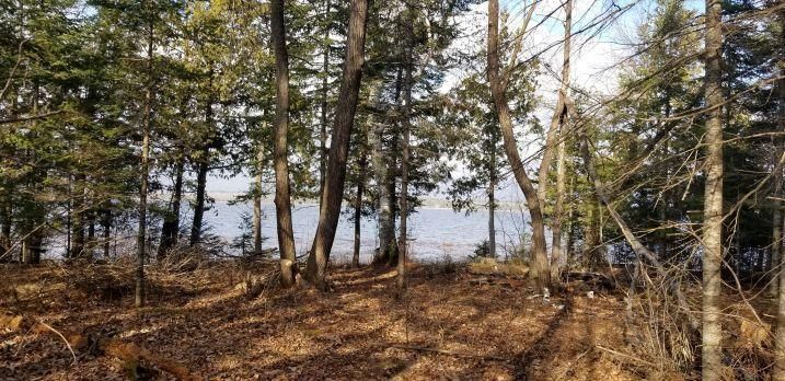 TBD South Steamboat Lake Rd Nw, Walker, MN 56633