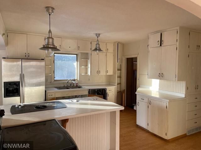 255 66th Ave NW, Williams, MN 56686