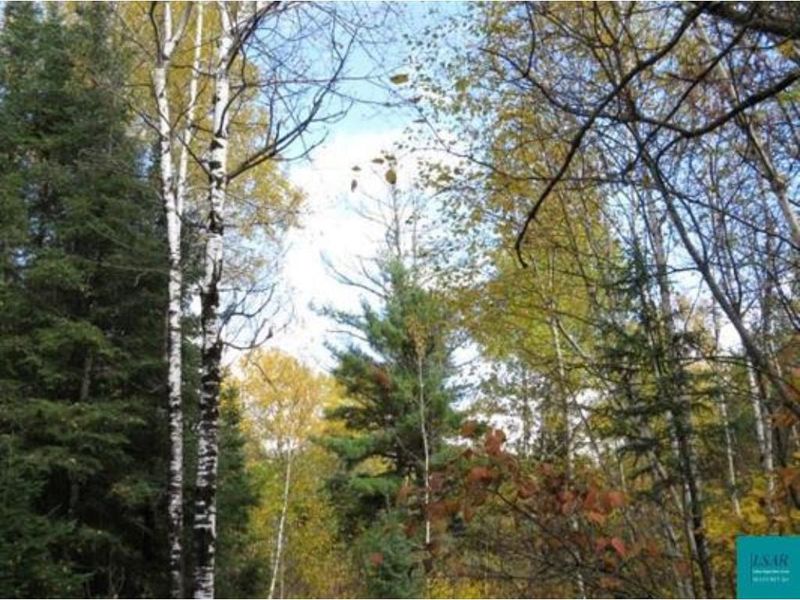 7 Damian, Embarrass, MN 55732